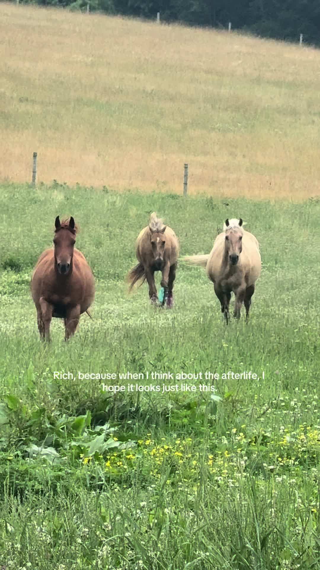 @twinriveranch