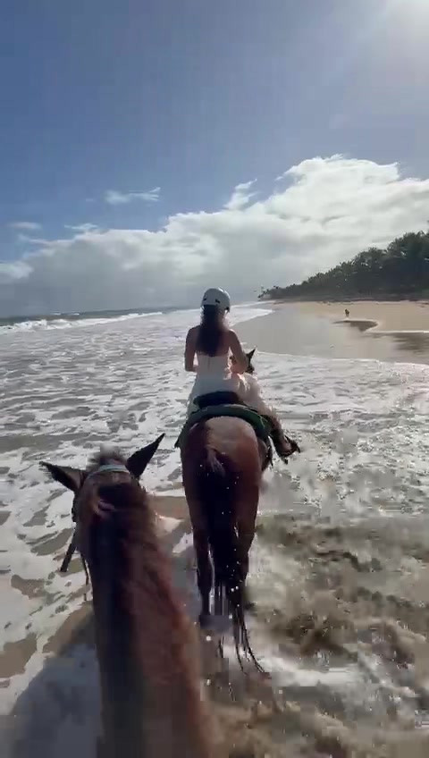 @Kamela Halili
