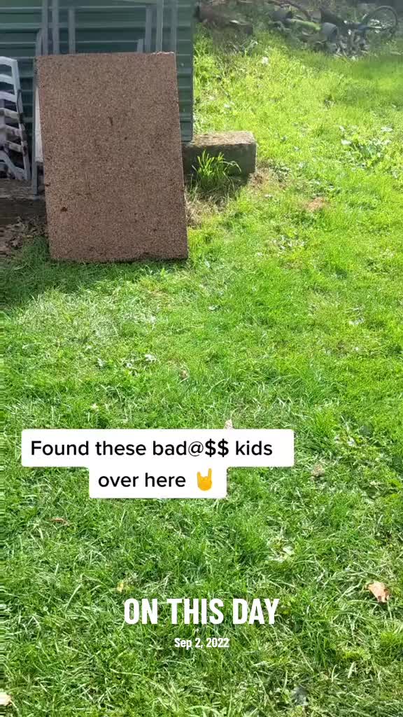 @Kayla Davis