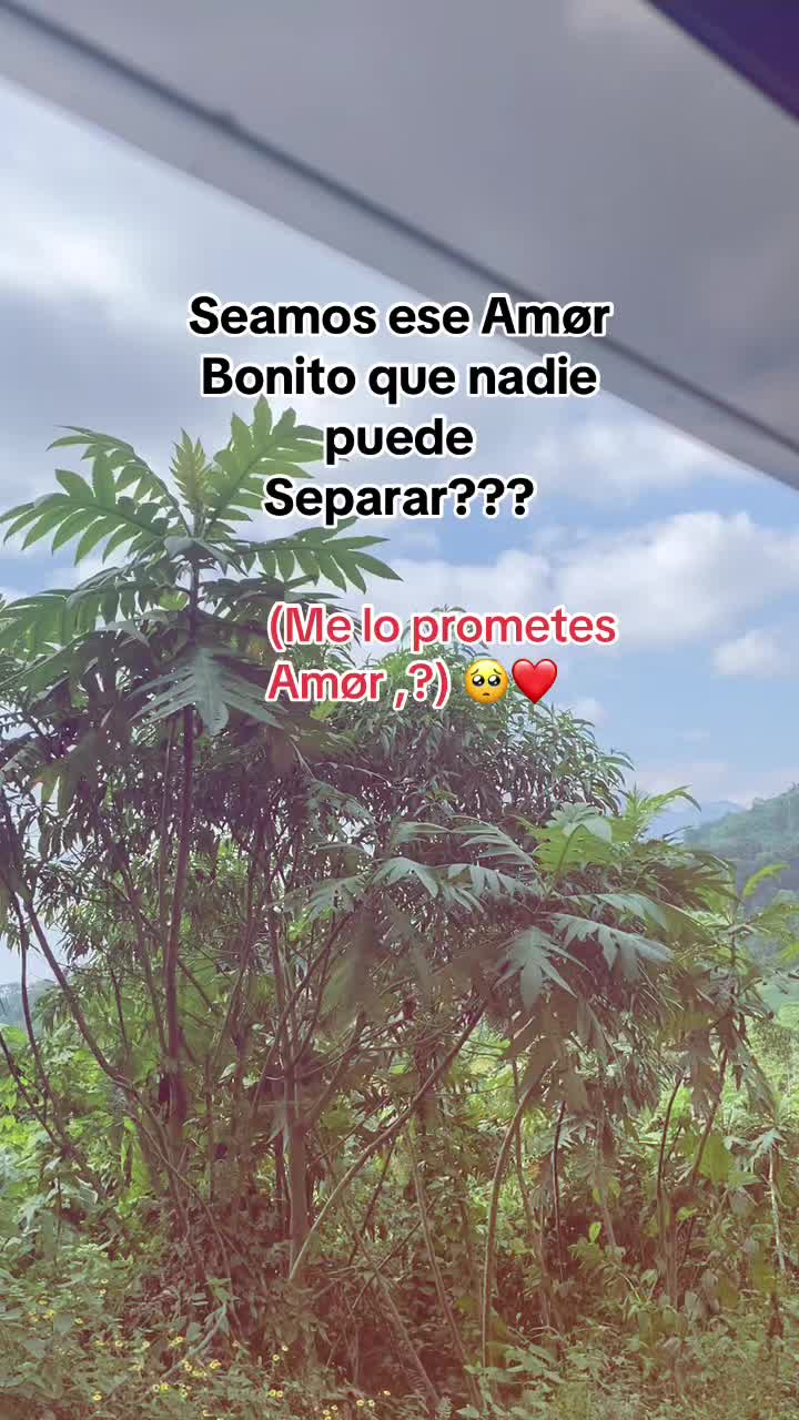 @Zoila Vásquez🥀🤍
