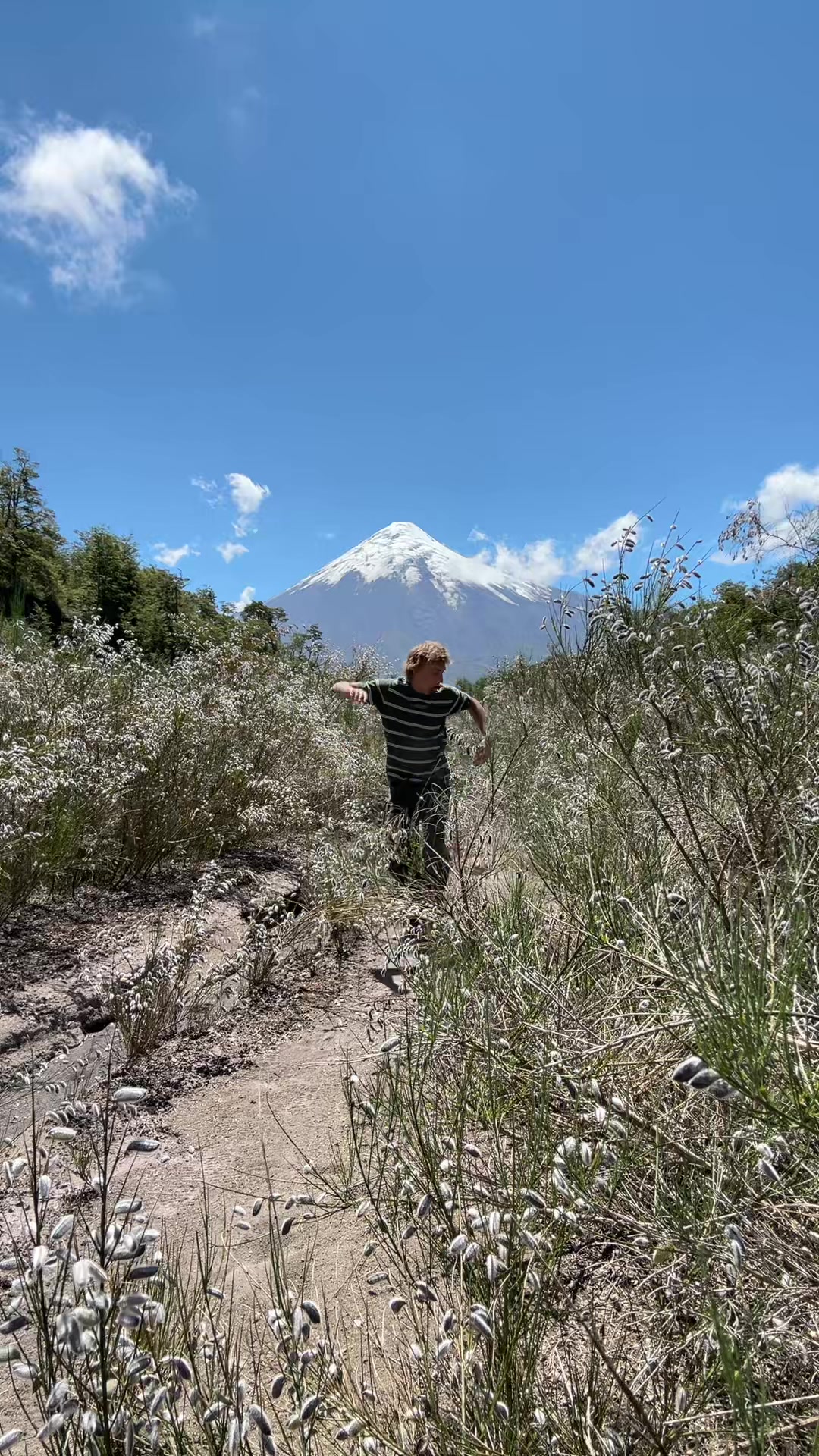 @Psharkk 🏔️