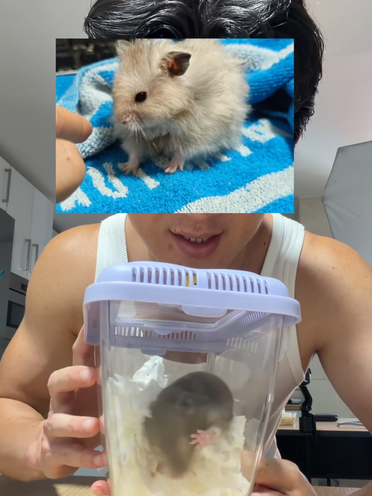 @chickenpapi