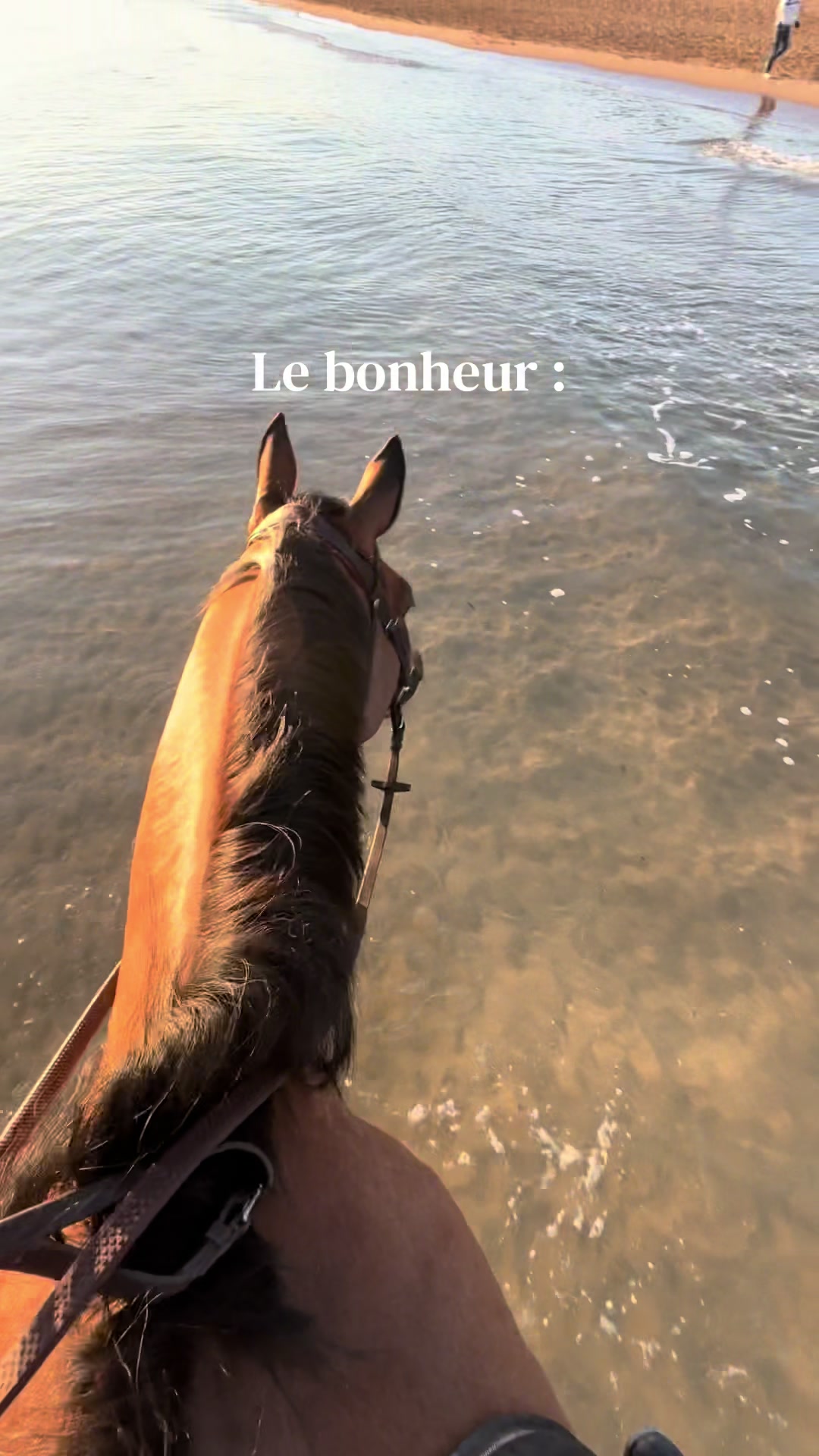 @Léona MB