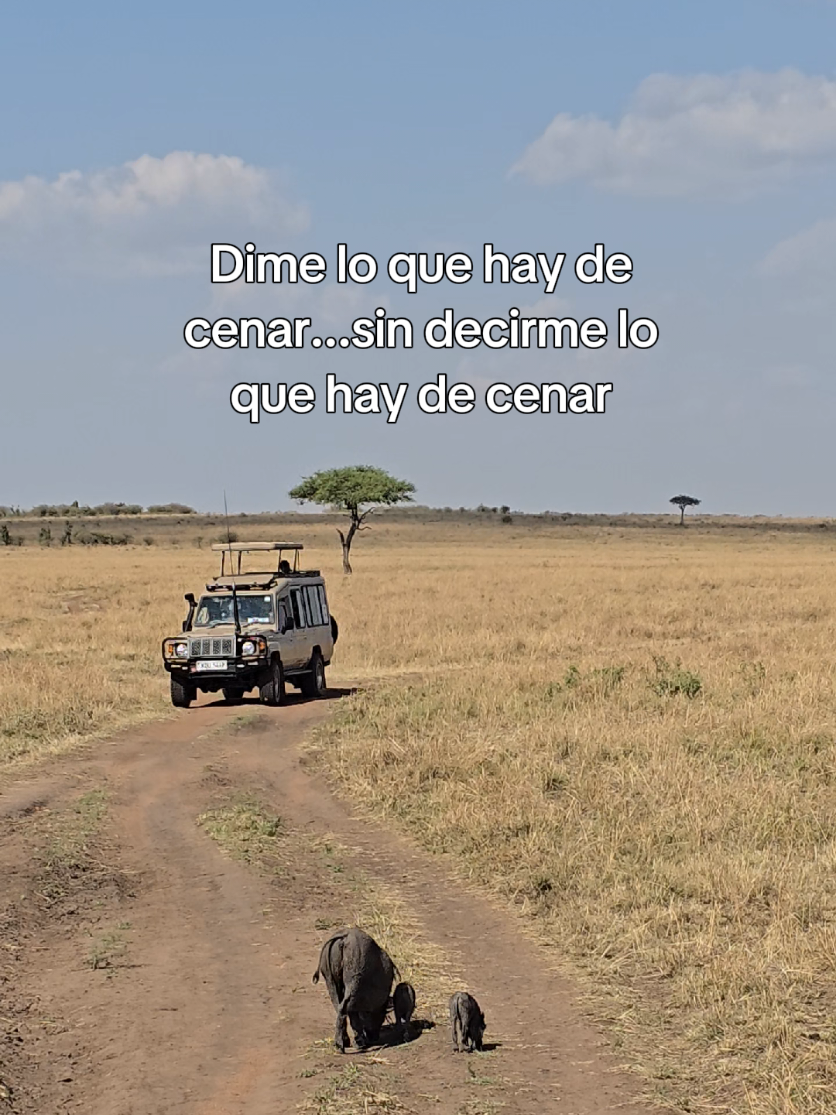 @Maite Leciñena