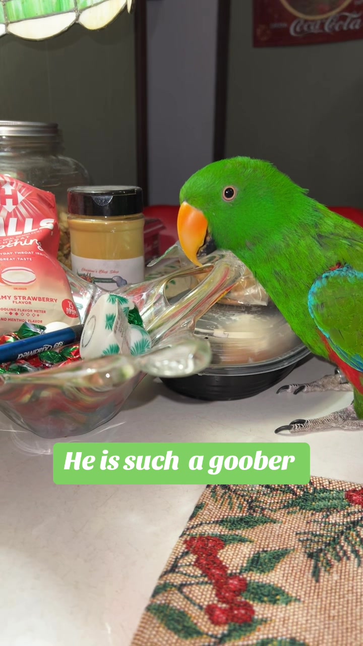 @CrystalParrot🦜💜🦜🍪🍨