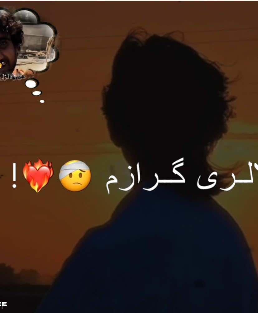 @𝐢𝐓'𝐬 𝐁𝐞𝐞 ~ヅ