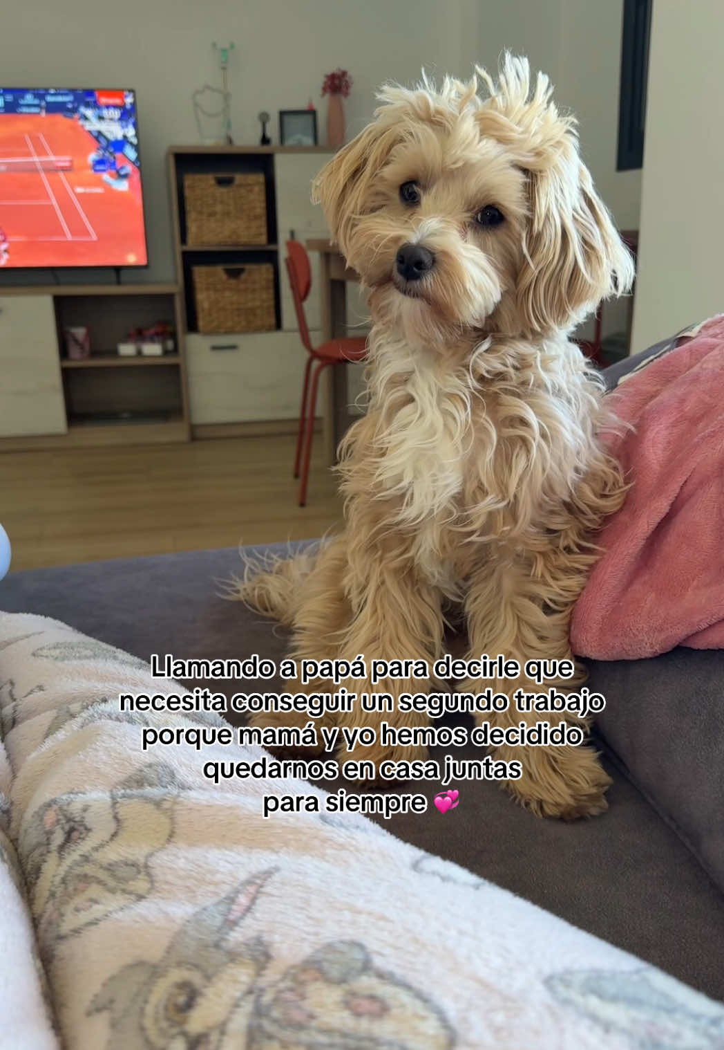 @Natalia Villegas