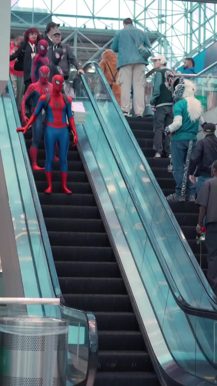 @Songs Spider 🕸️