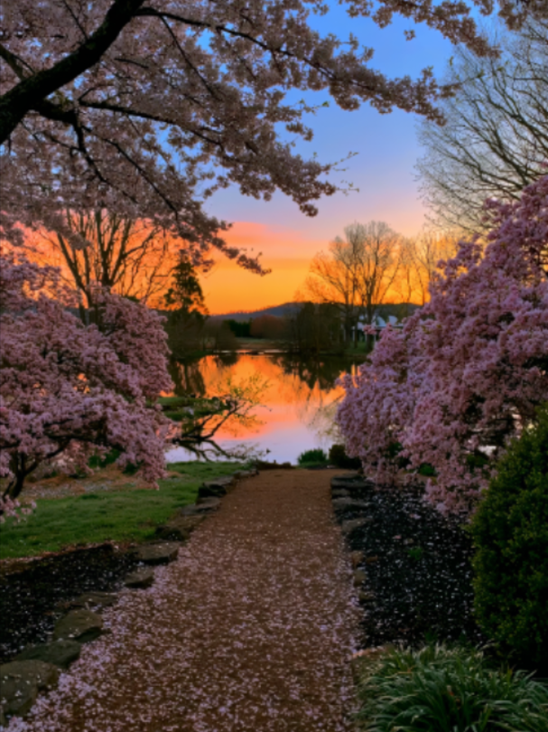 @︎︎