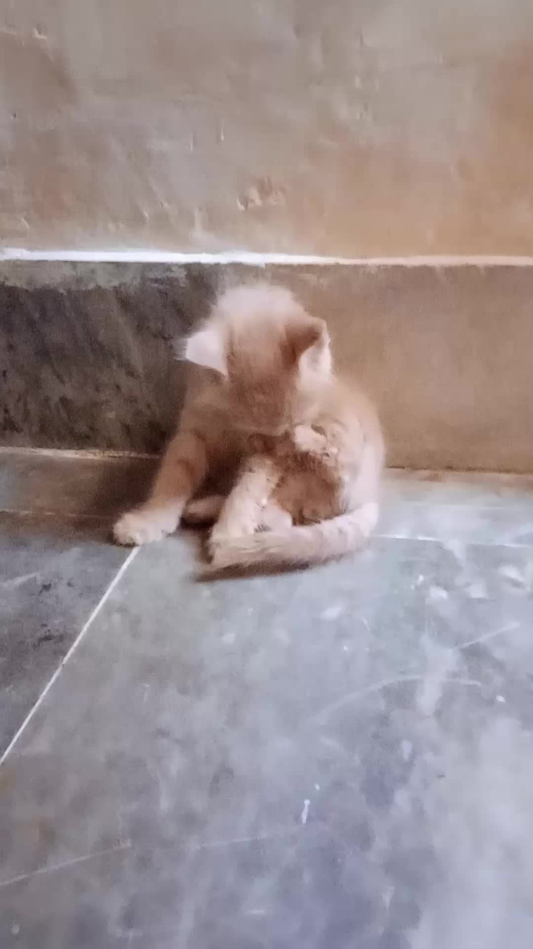 @cutecatlover8172