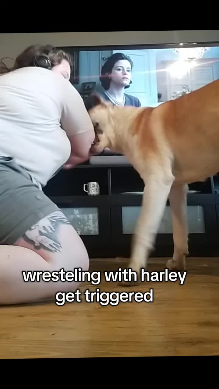 @harley.quinn