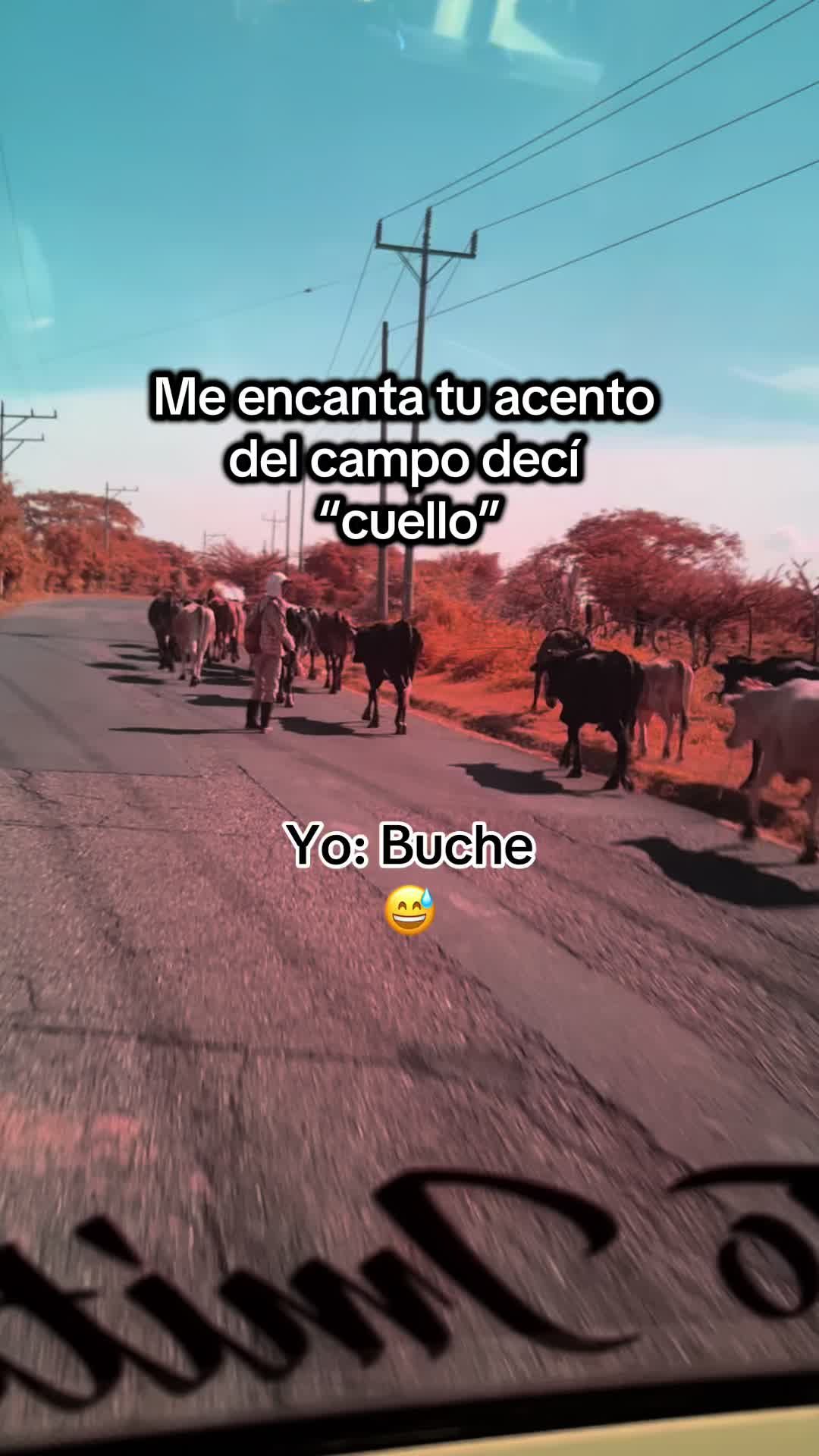 @Erika🪻