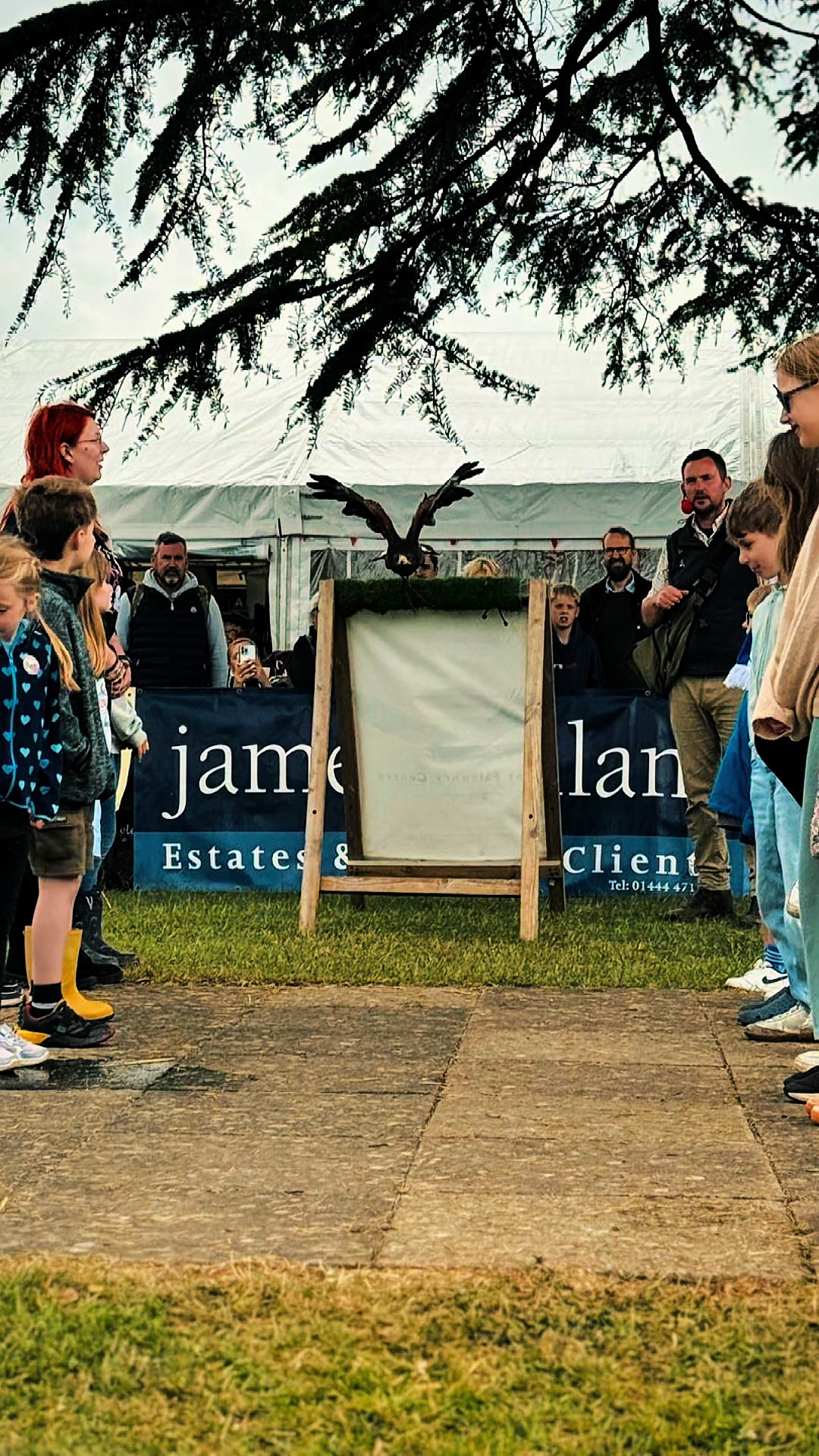 @Kent Falconry Centre