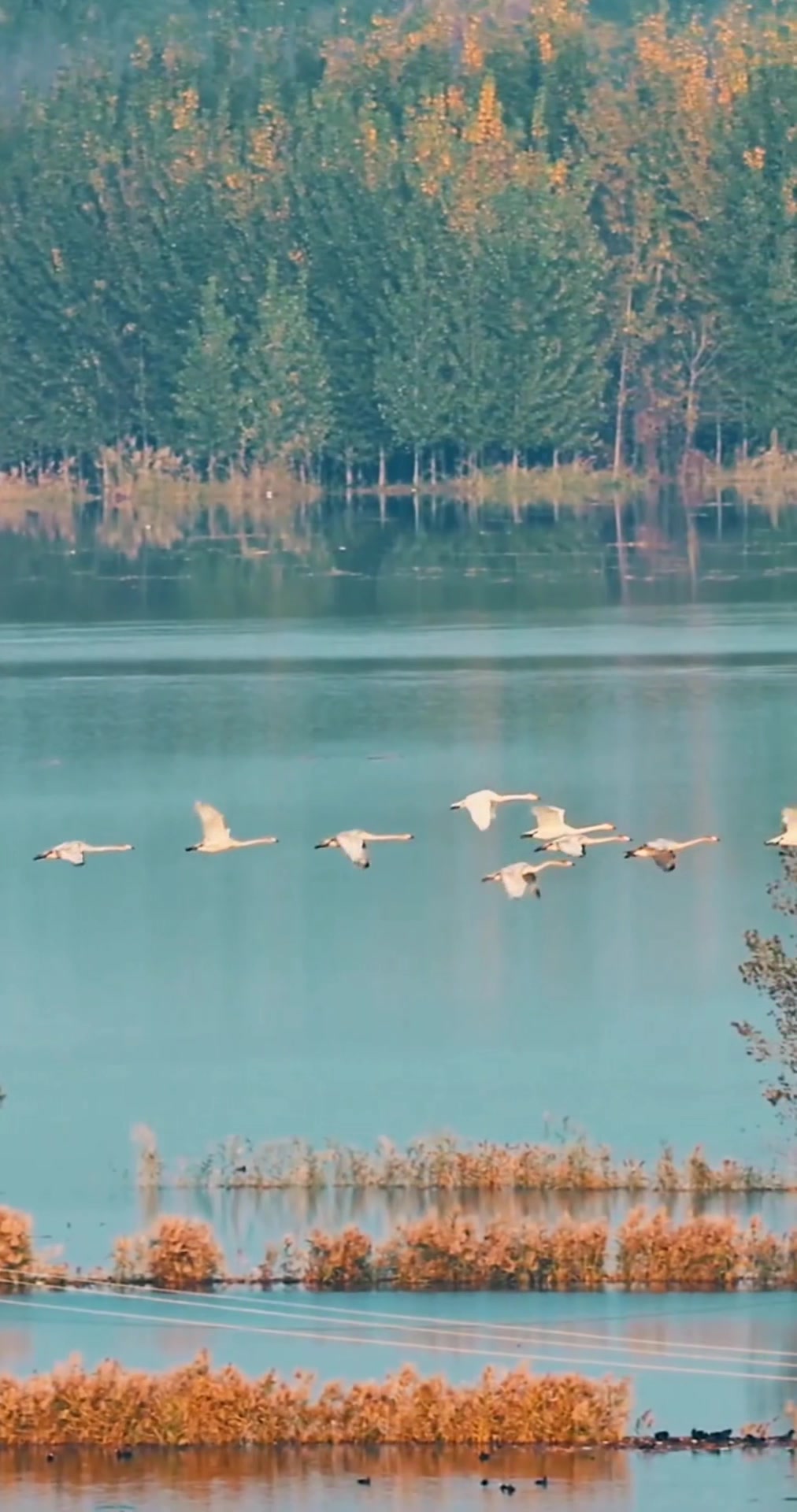 @naturallandscape