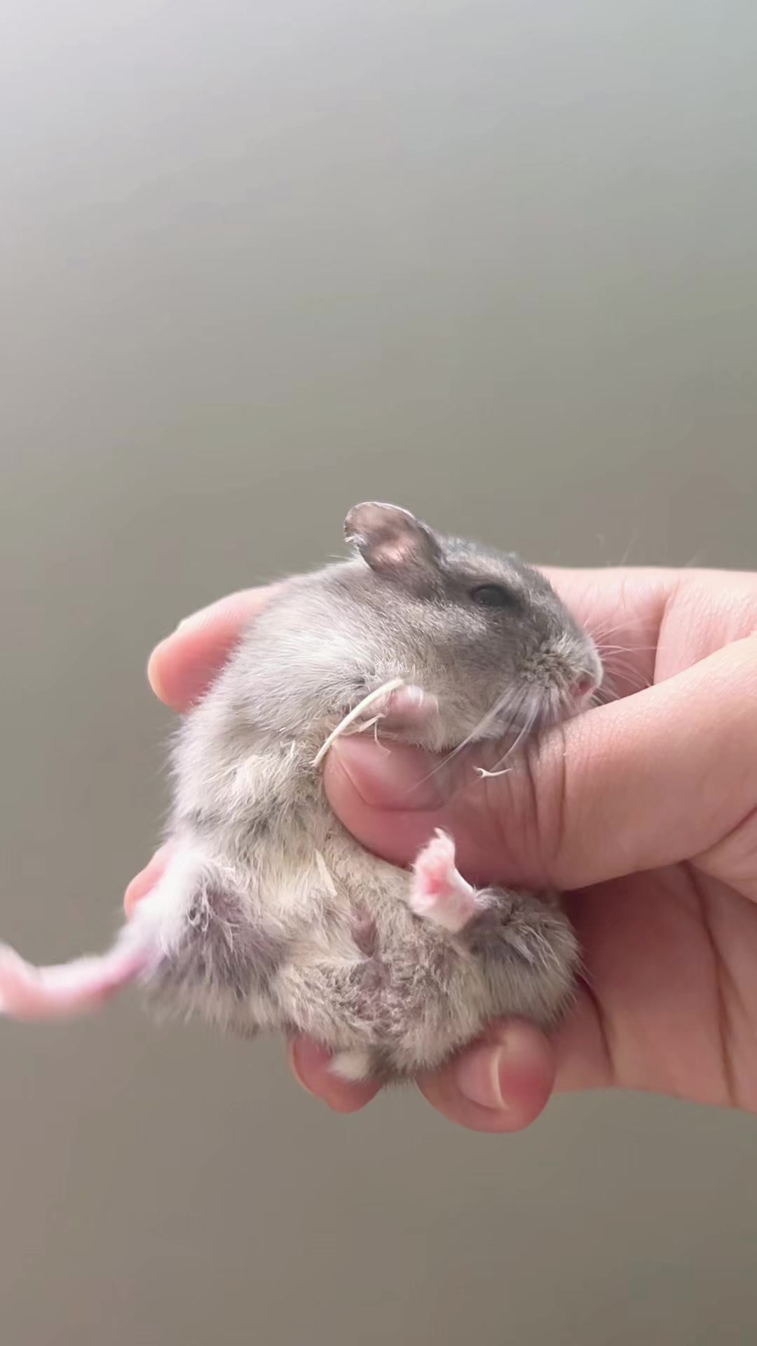 @𝒆𝒍𝒍𝒂✨