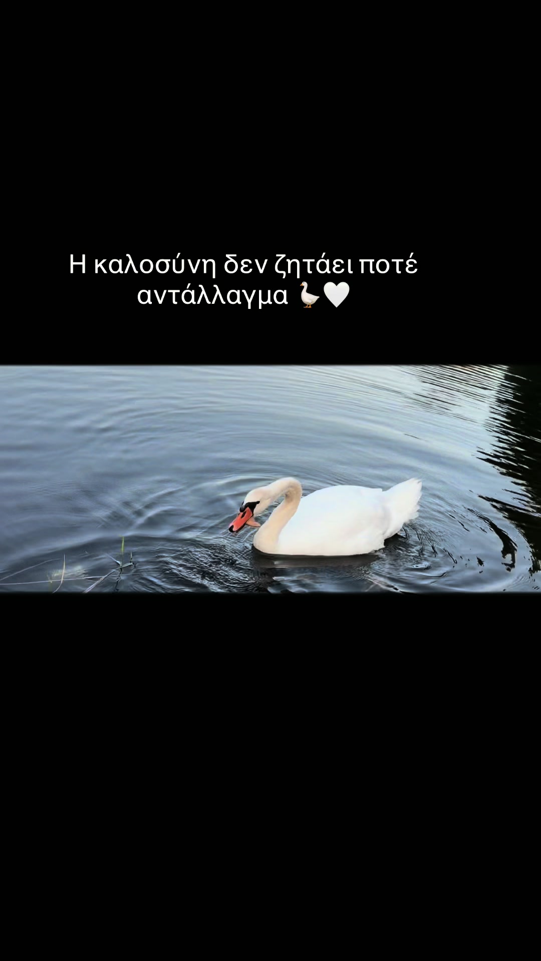 @_.Euaggelou._