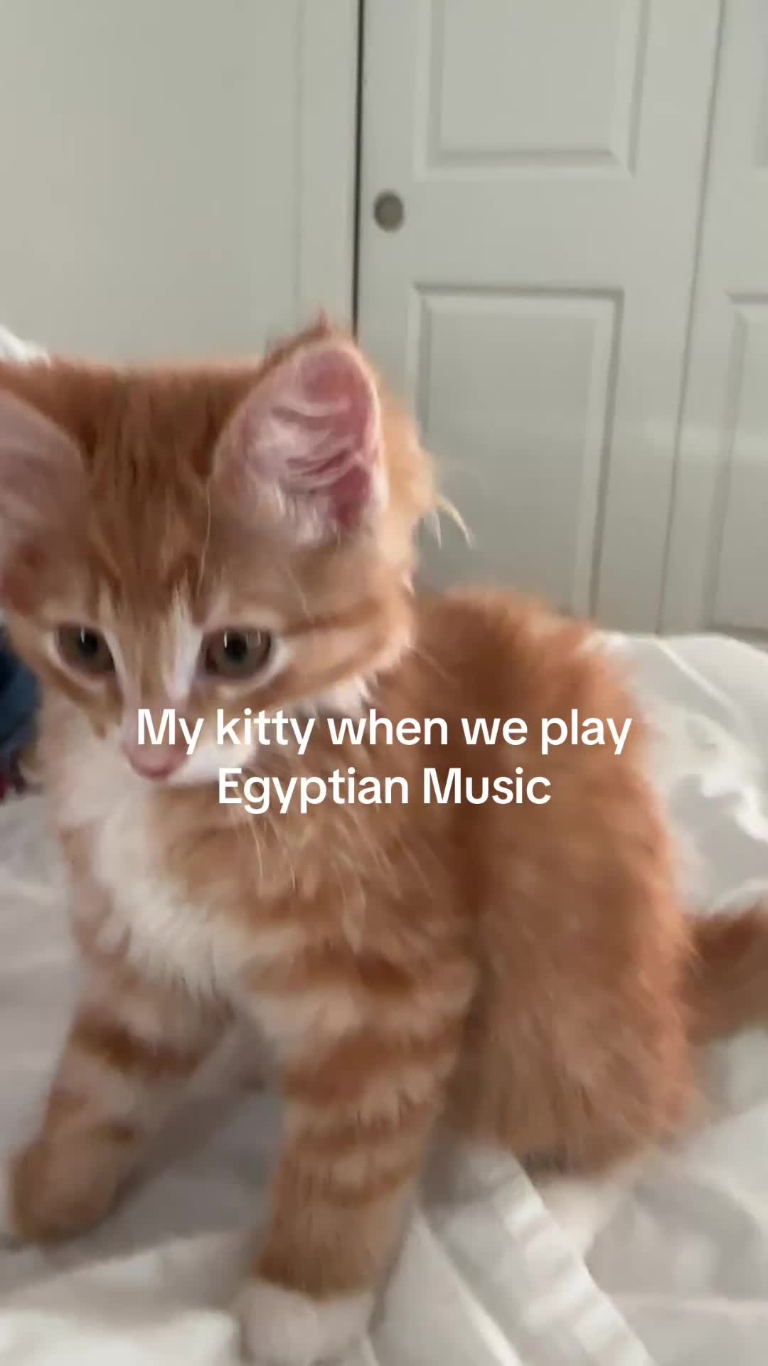 @Spontaneous Nik