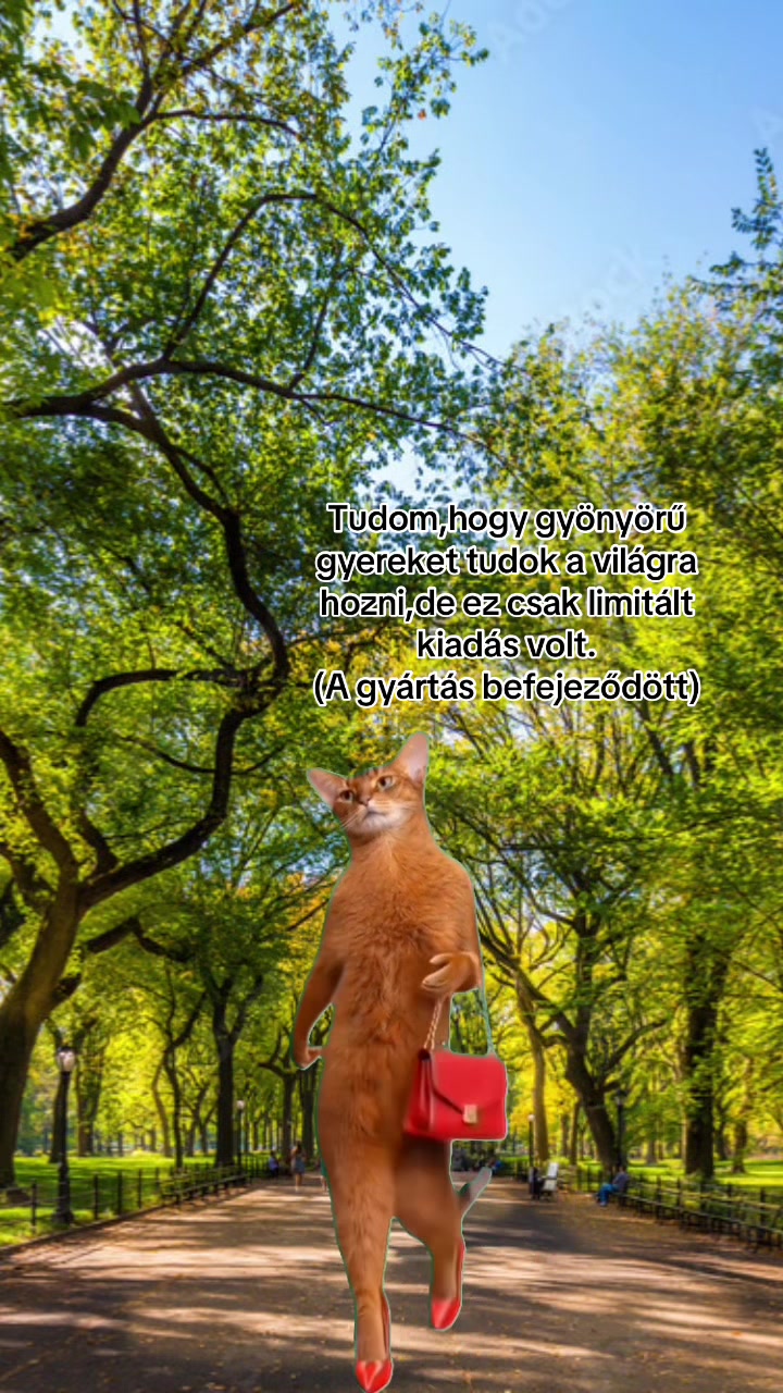 @lakatoserzsi
