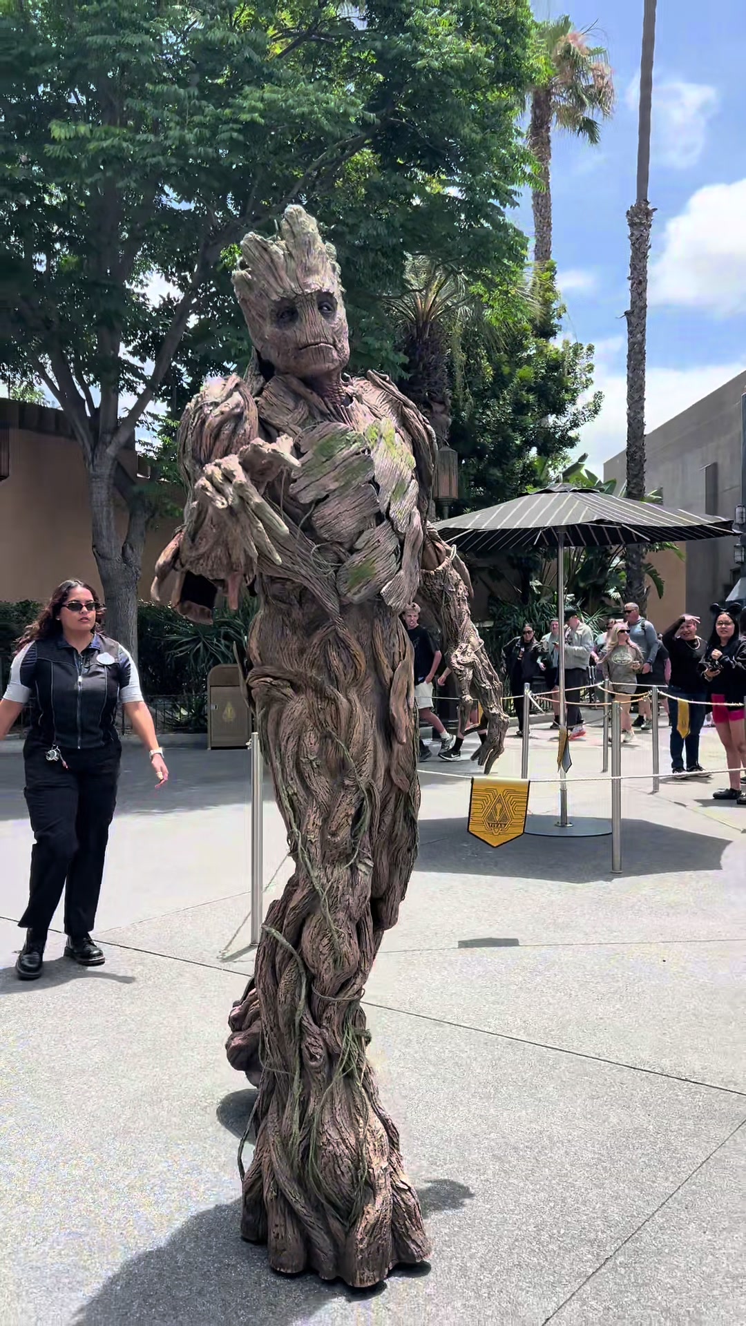 @Rope Drop Nation