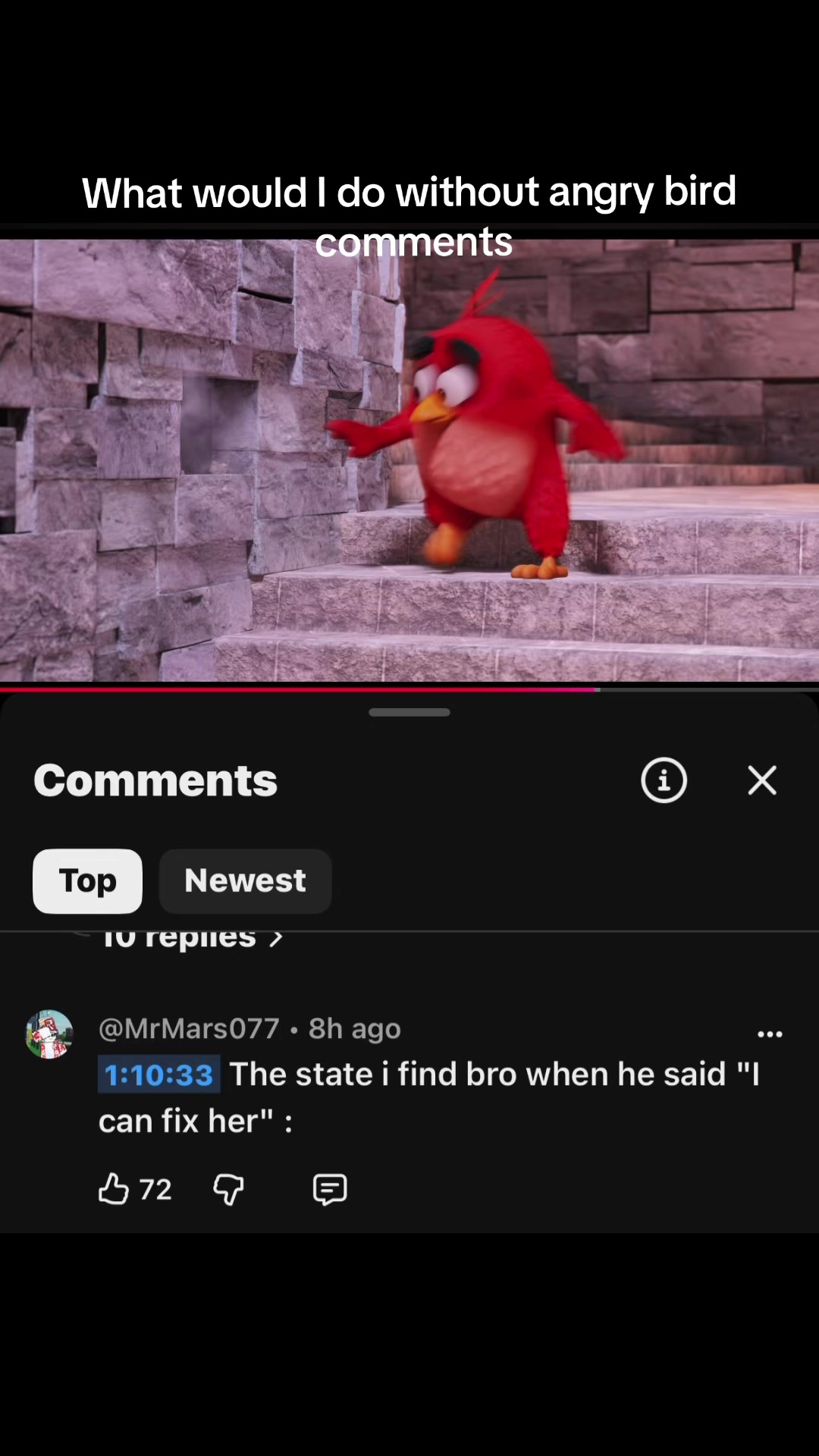 @AngryBirdsMemes