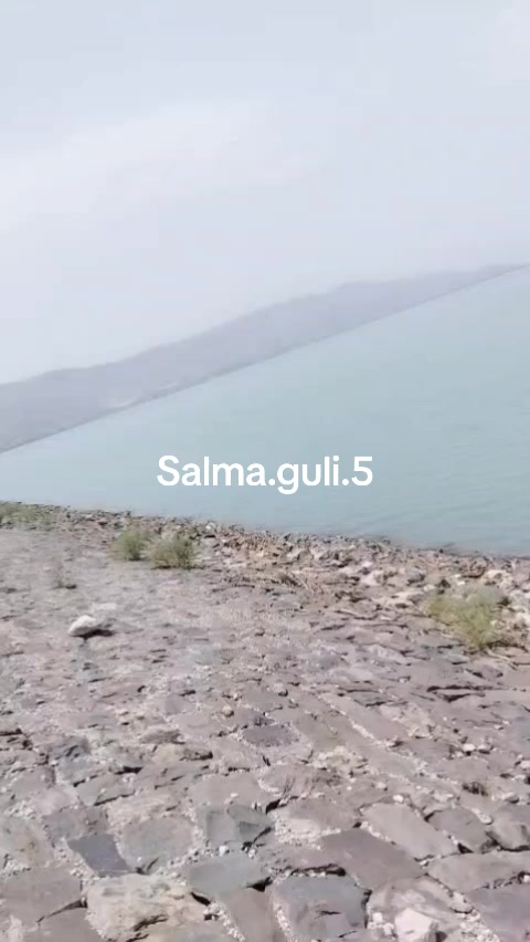 @Salma guli