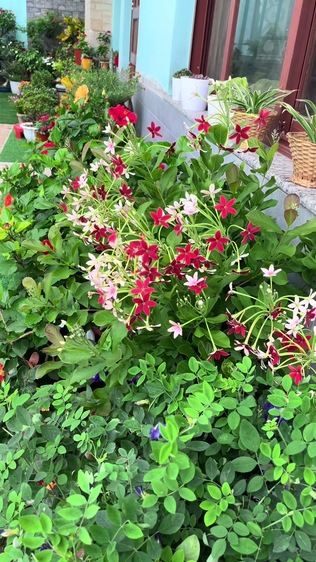@poonam_shah 🧿🍀