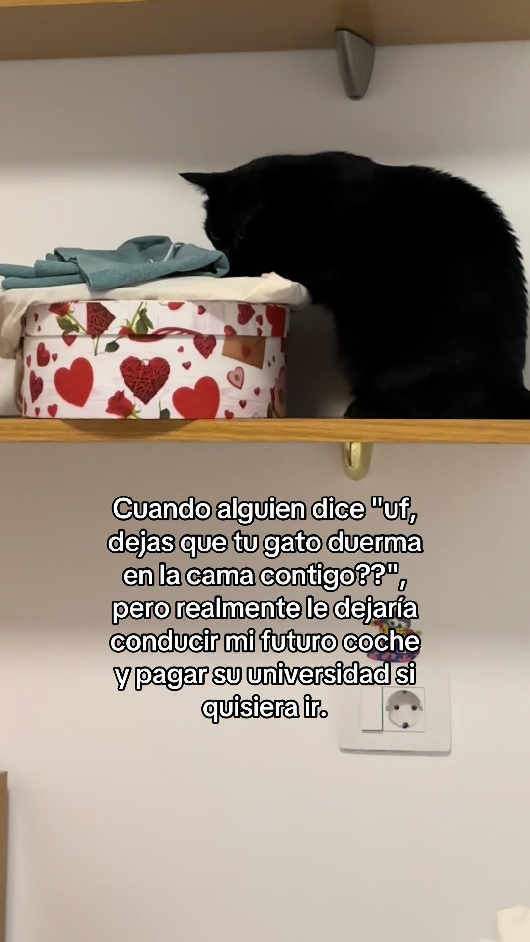 @BlackCatsMatter