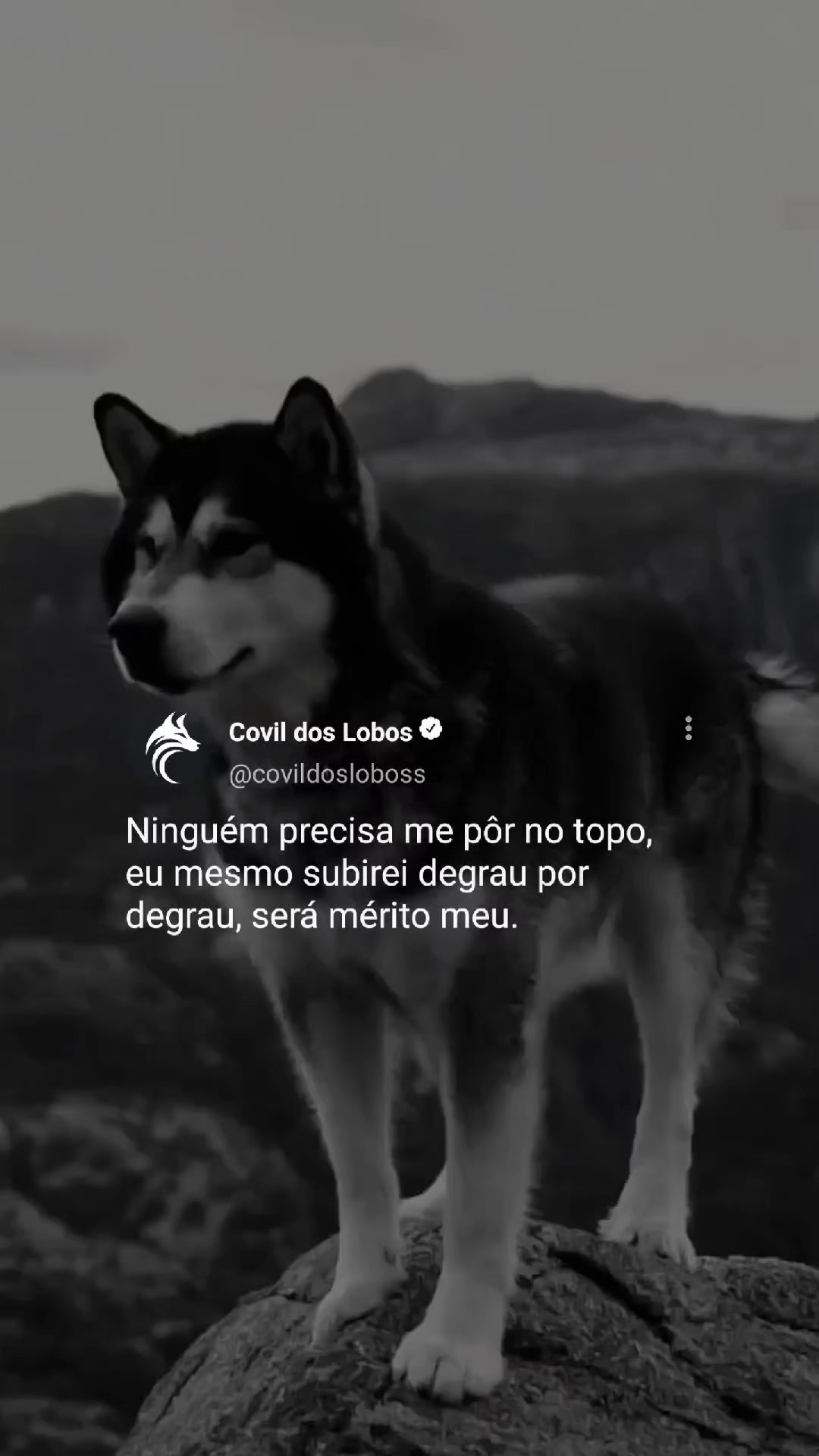 @Covil Dos Lobos