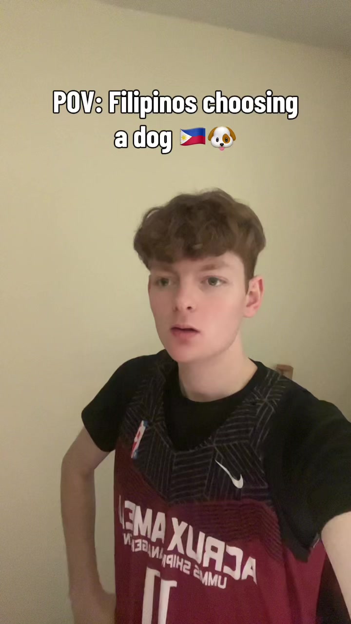 @mirmo.y11
