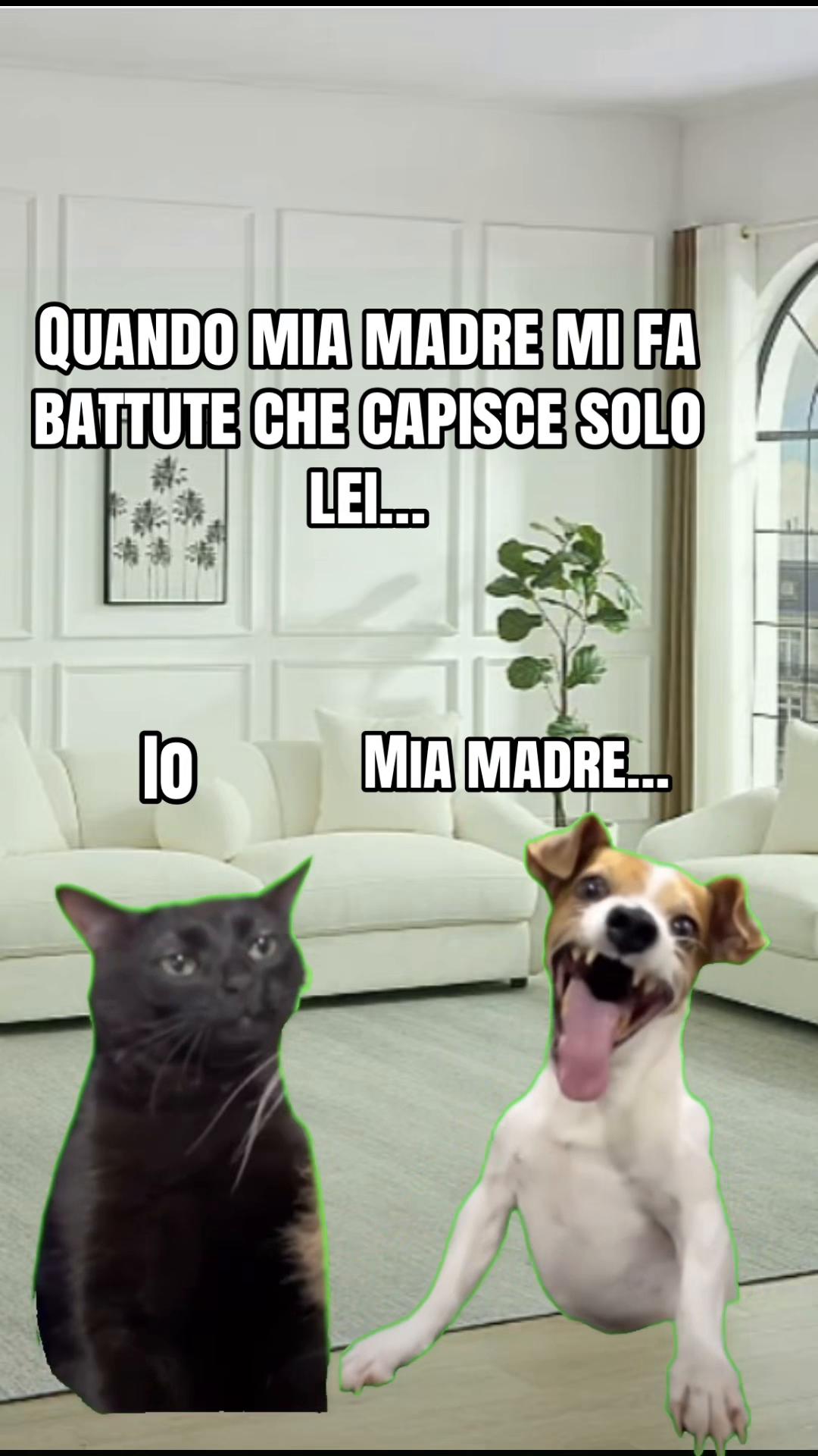 @Natascia Laura