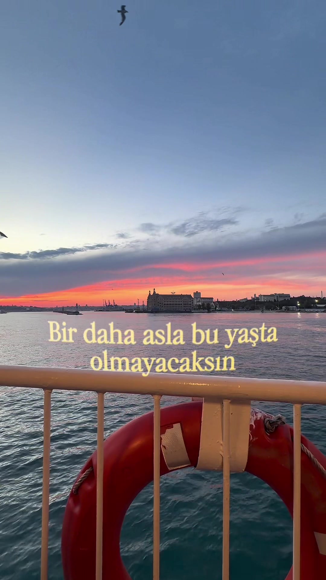 @hilal ๐บ