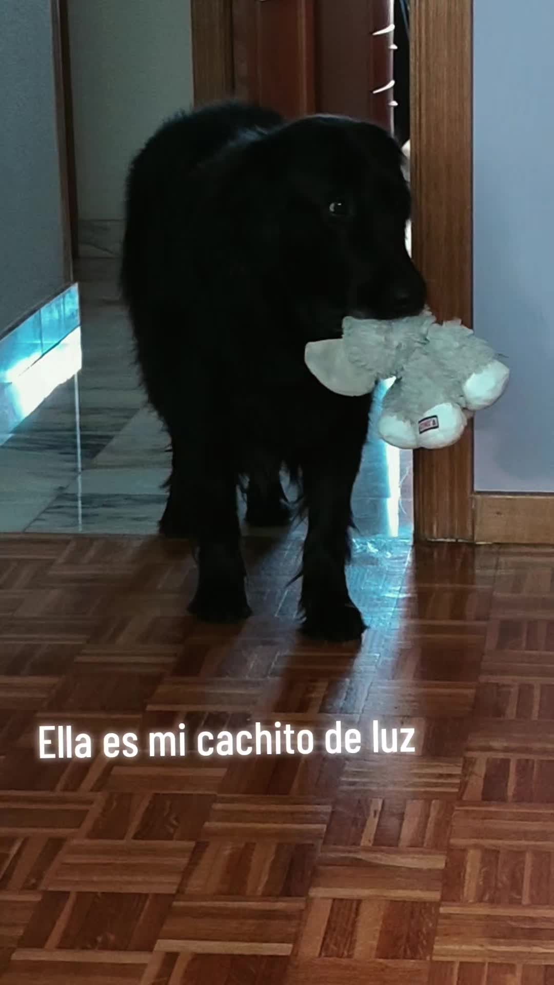 @Martuki
