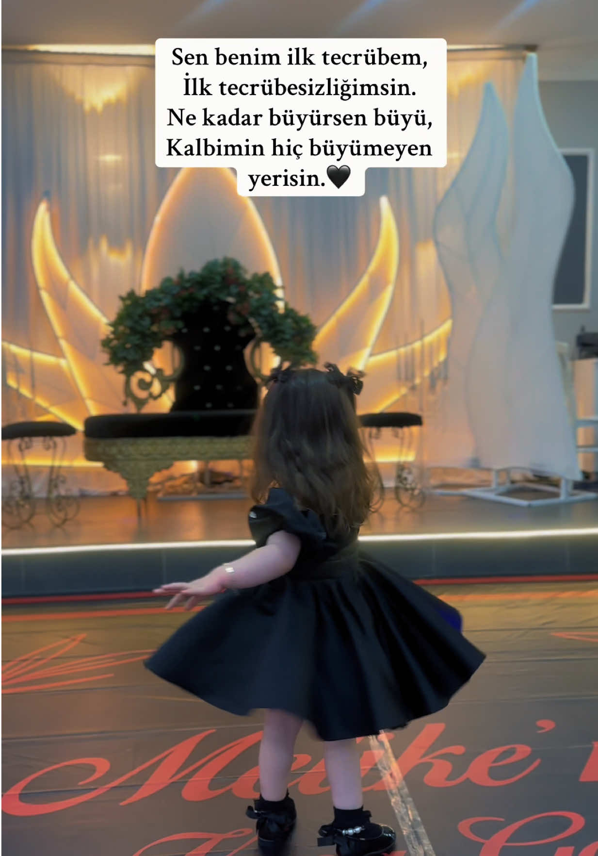 @🕊️
