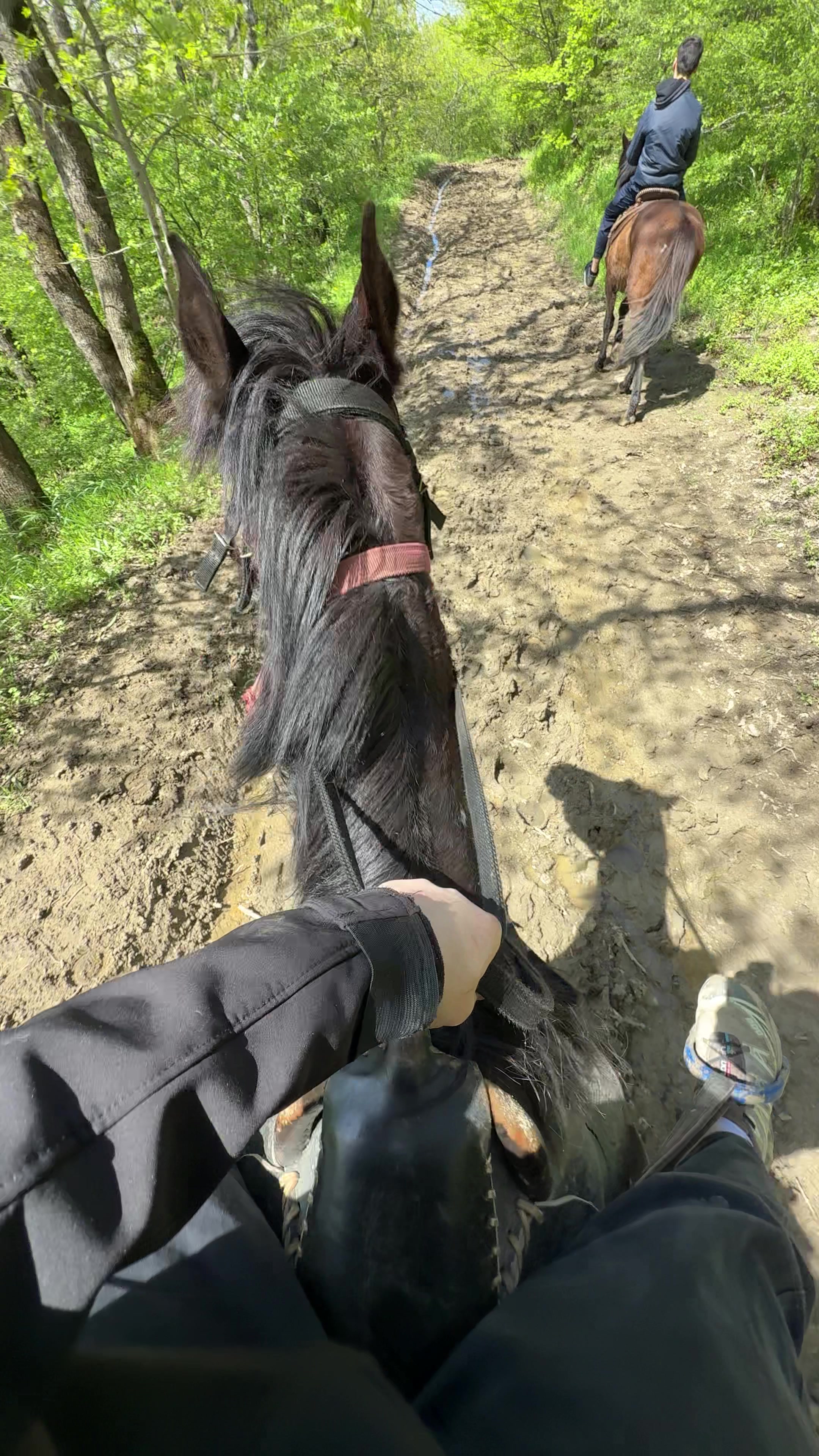 @horselakia