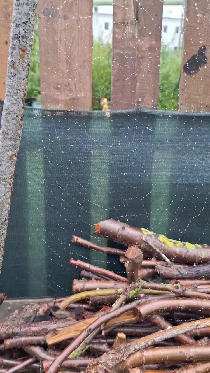 @Natur und Garten