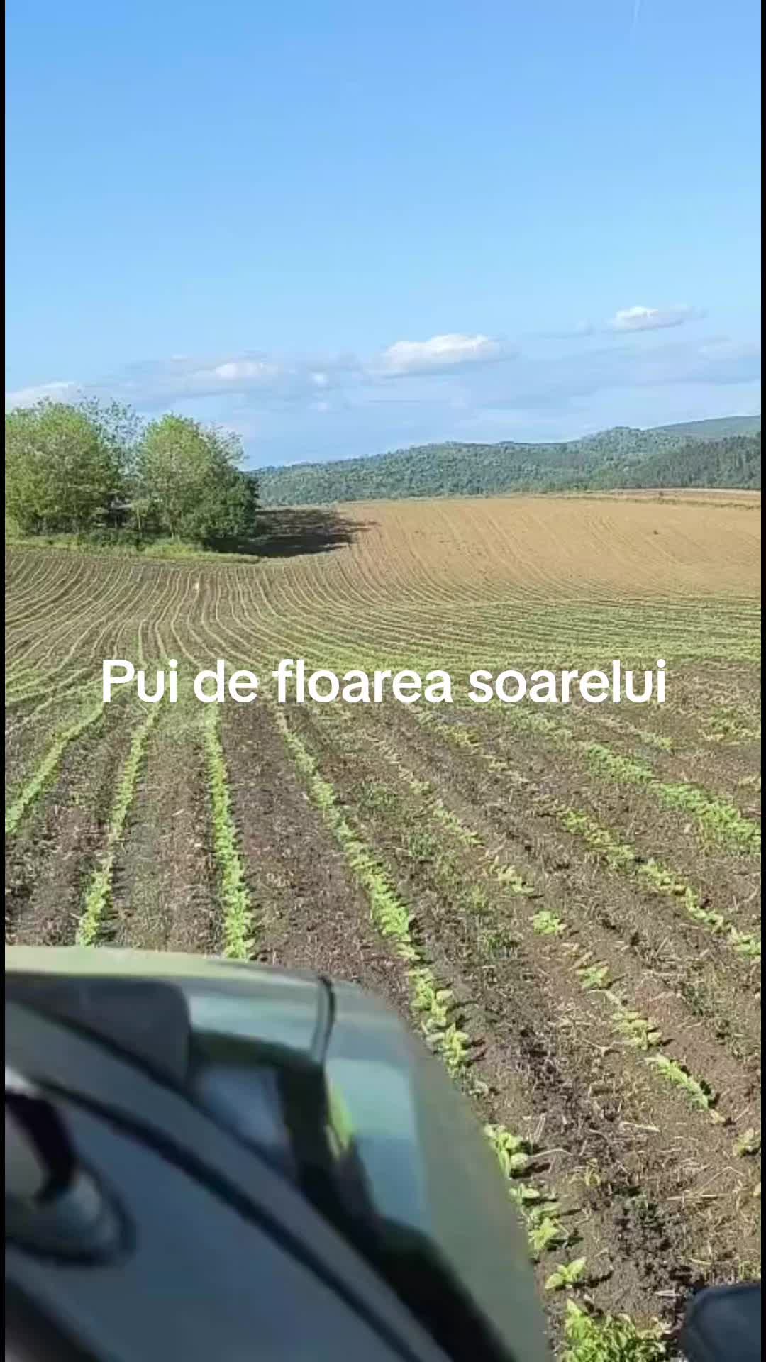 @levibalazs3