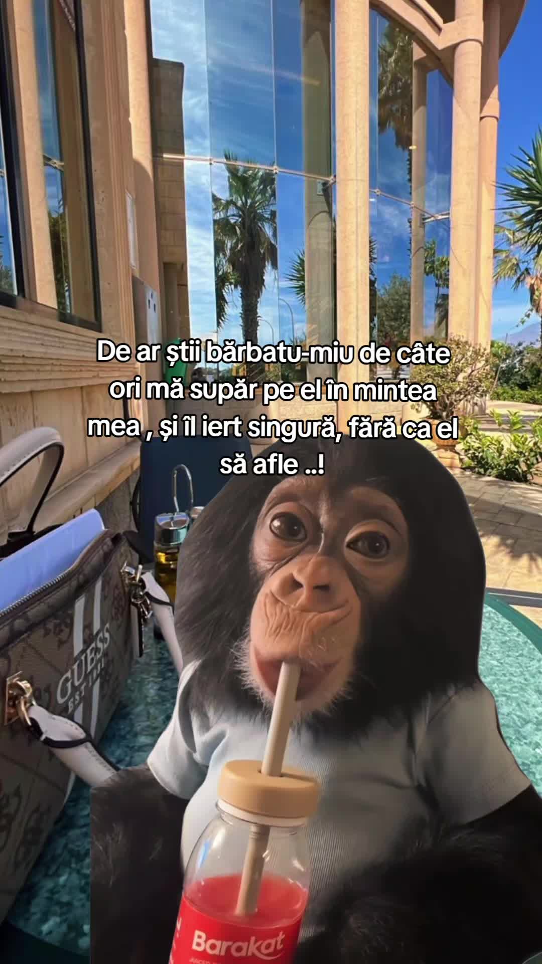 @Cristina