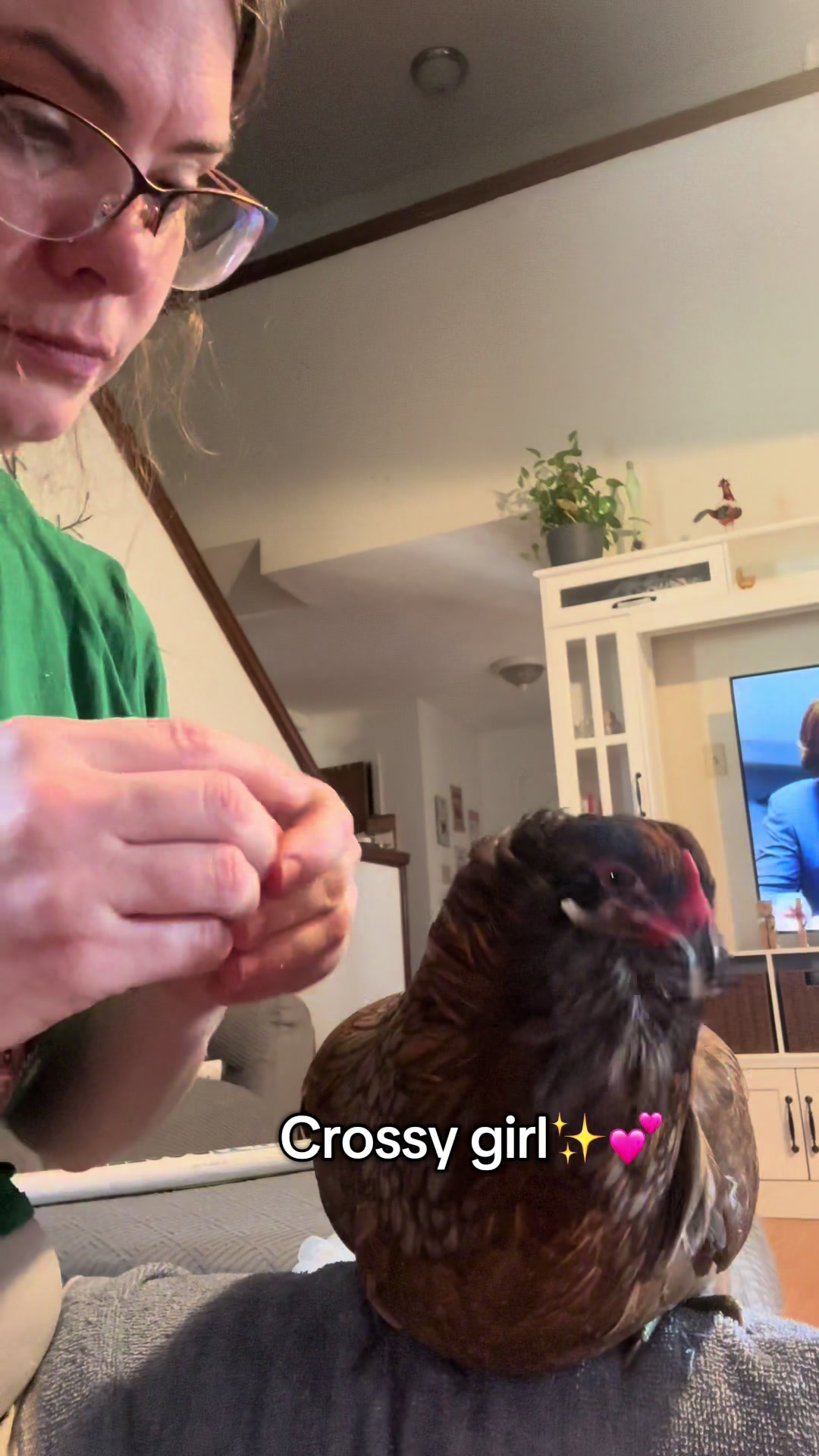 @Crazychickennurse