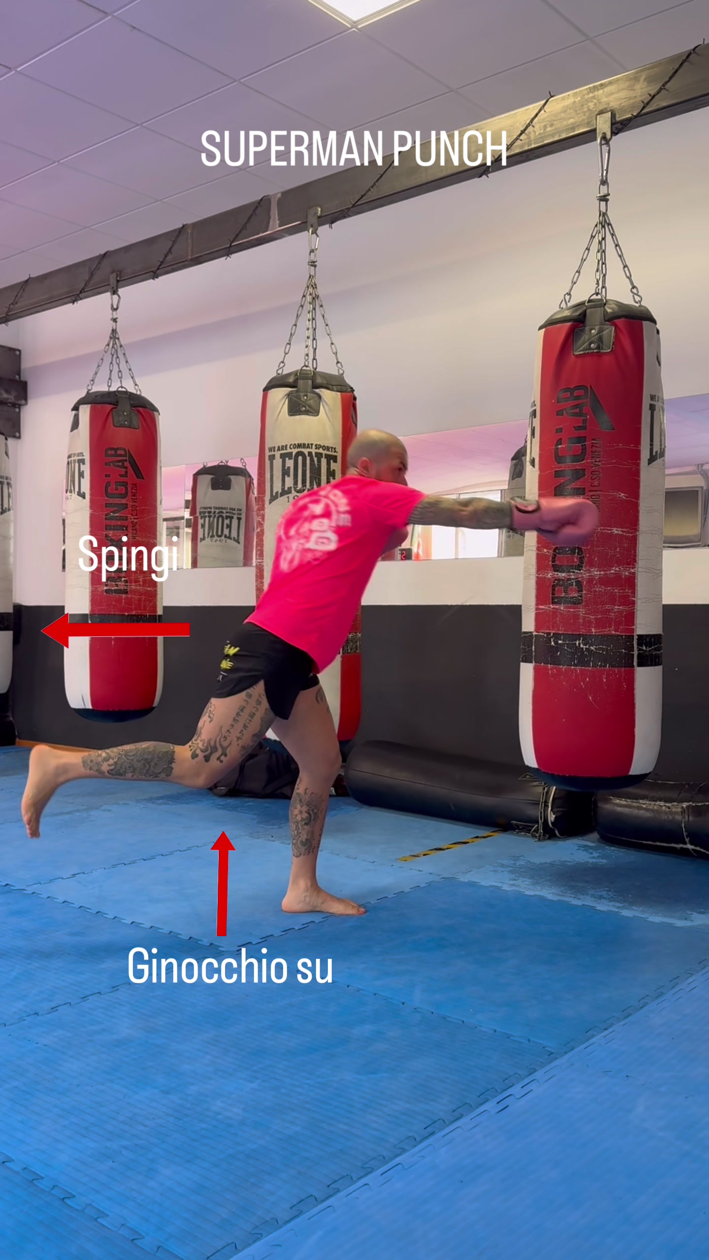 @𝙃𝙤𝙣𝙗𝙪𝘿𝙤𝙟𝙤𝙋𝙖𝙫𝙤𝙣𝙚
