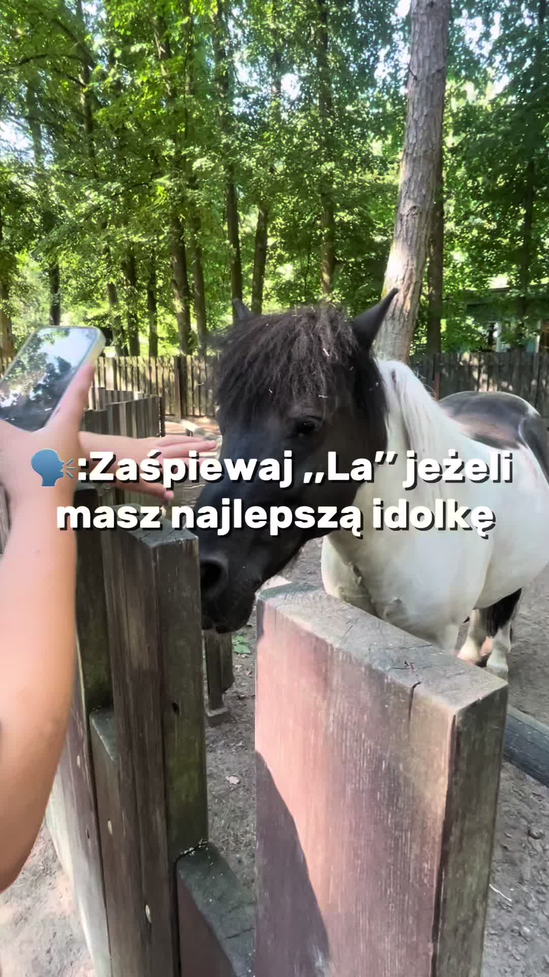 @🎀🤍🎀Kornelia||Tymoszuk🎀🤍🎀