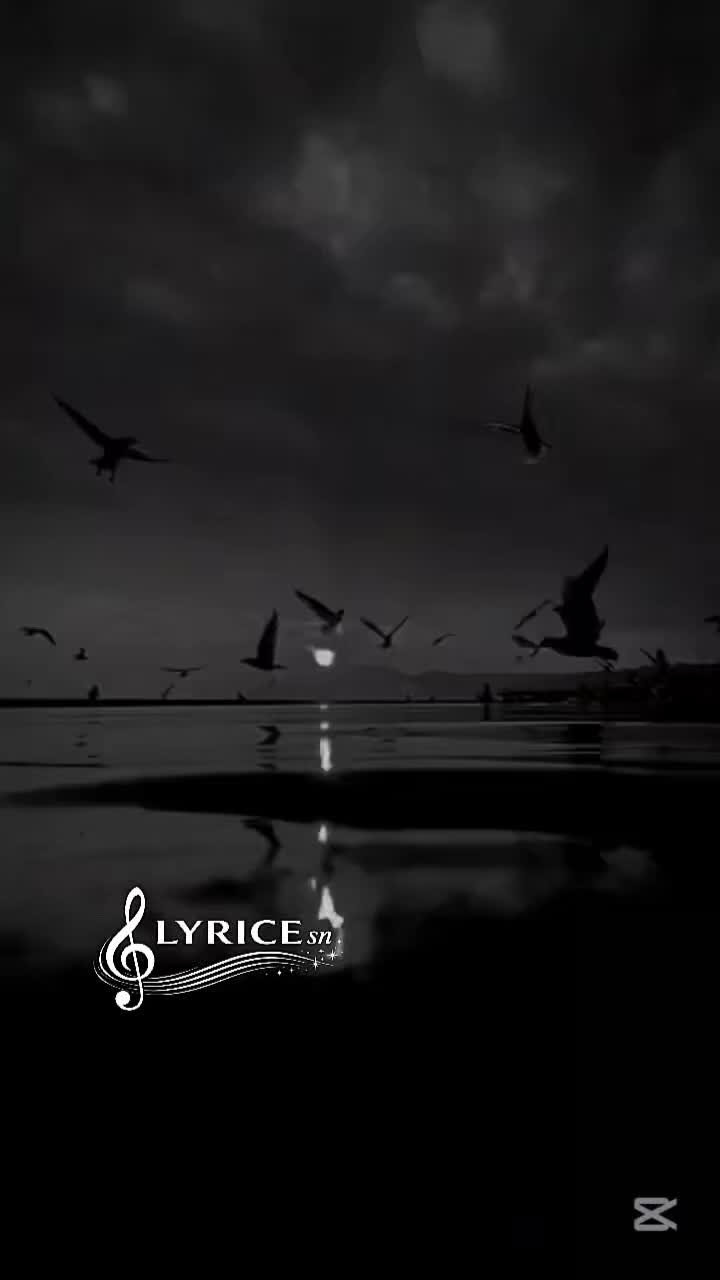 @LYRICE sn🎧