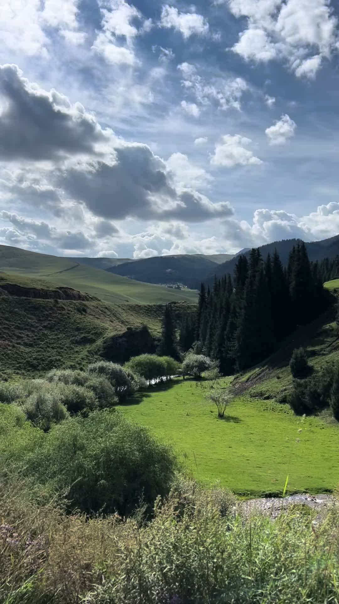 @Рисалят Халимулина