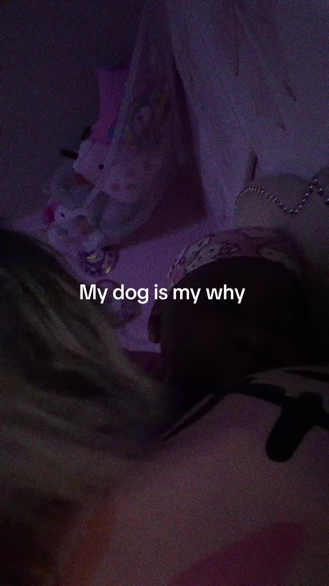 @unicorngeeker