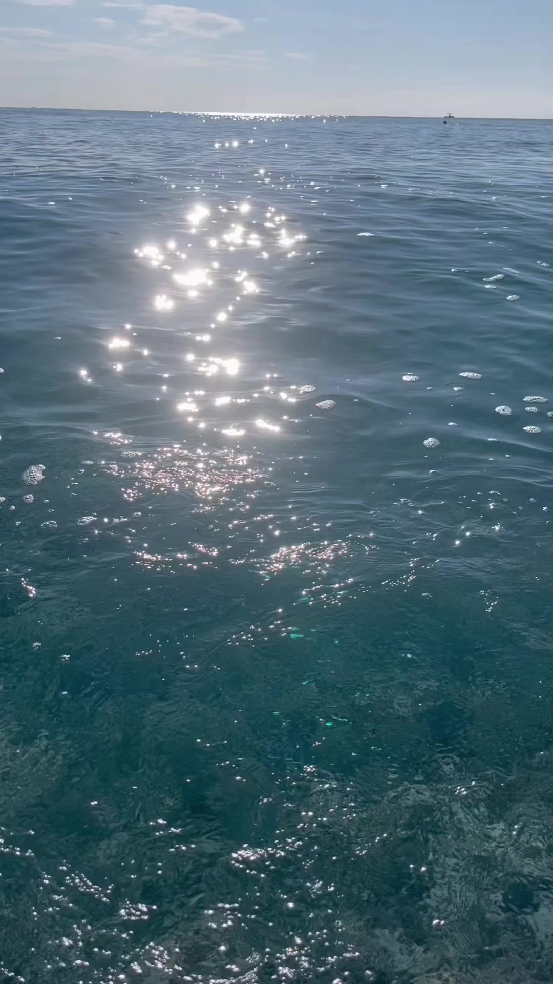 @Leojgrr