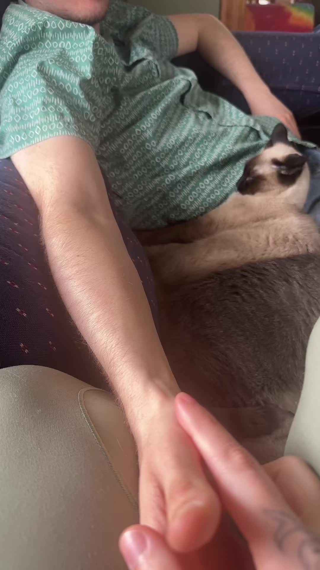 @✨M✨