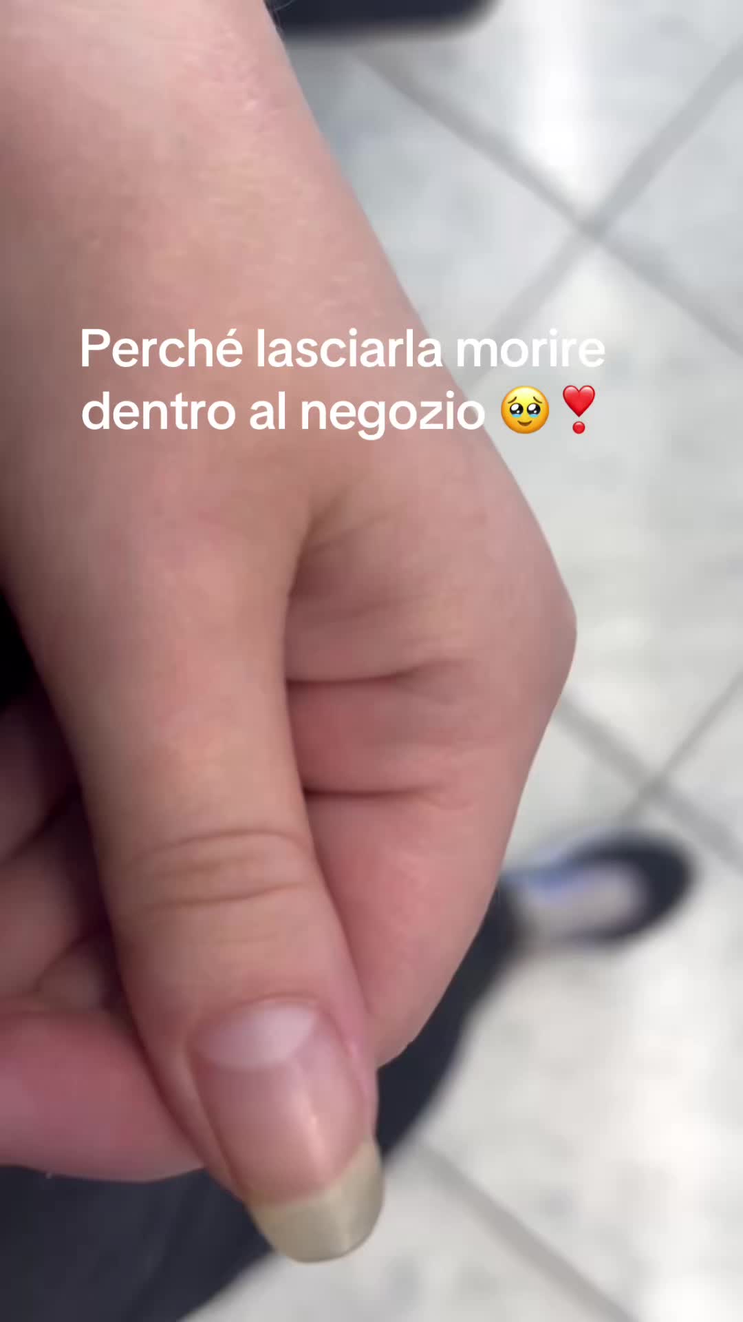@Emilia Rutyna