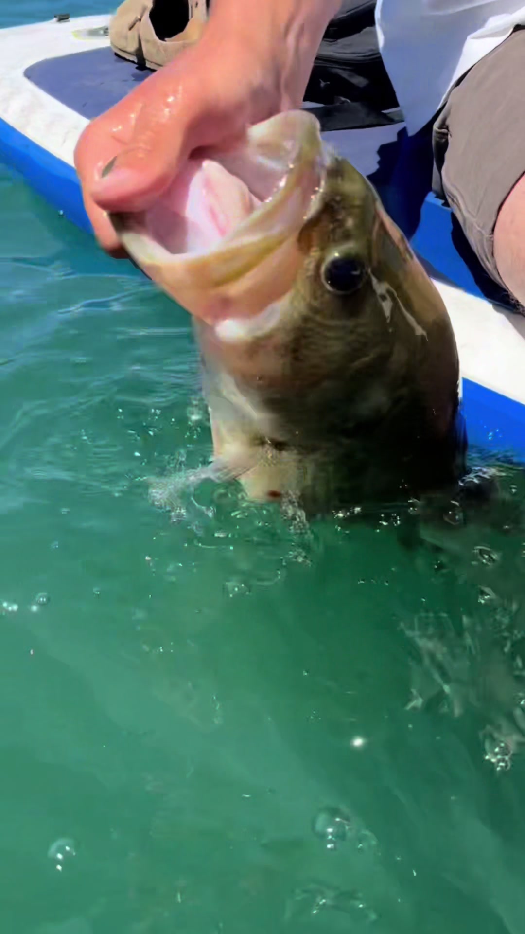 @FishingWithCam