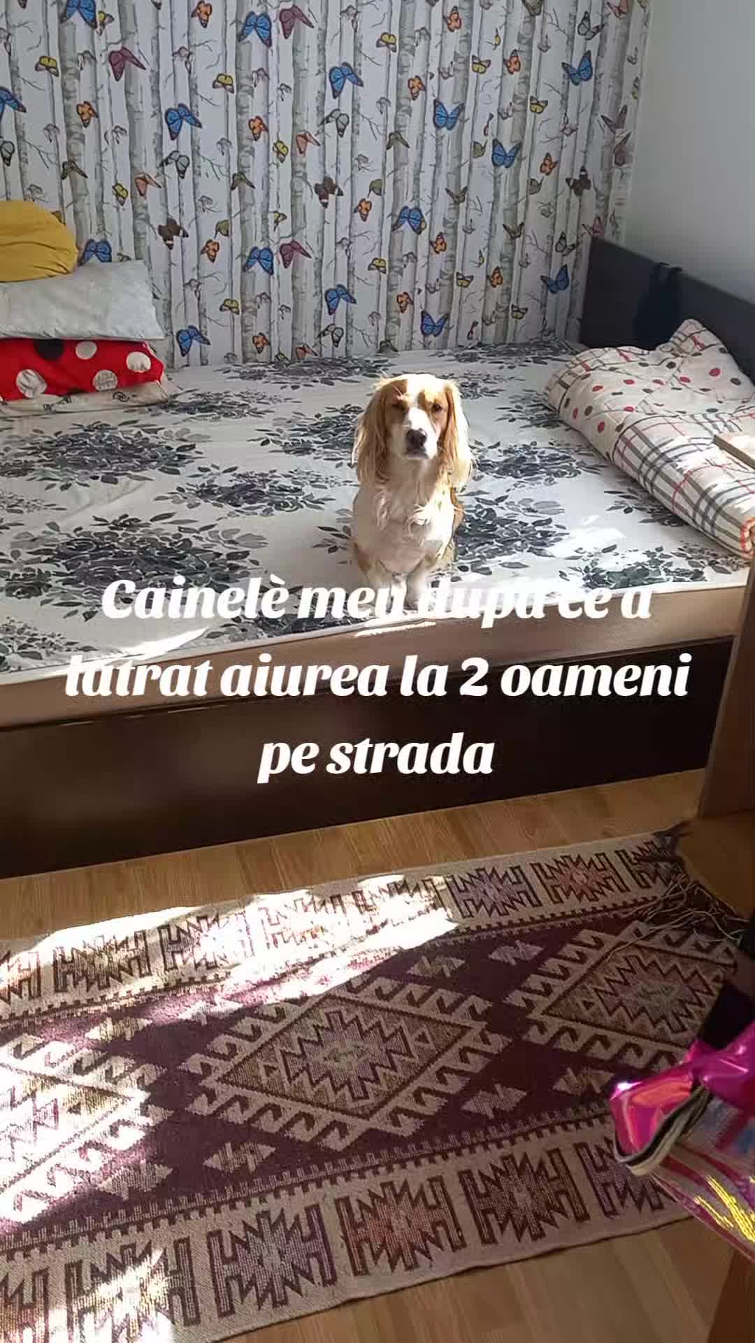 @Claudia