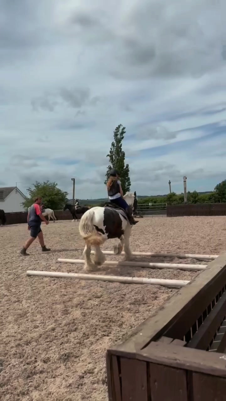 @LottiesHorseAdventures🦄🐴