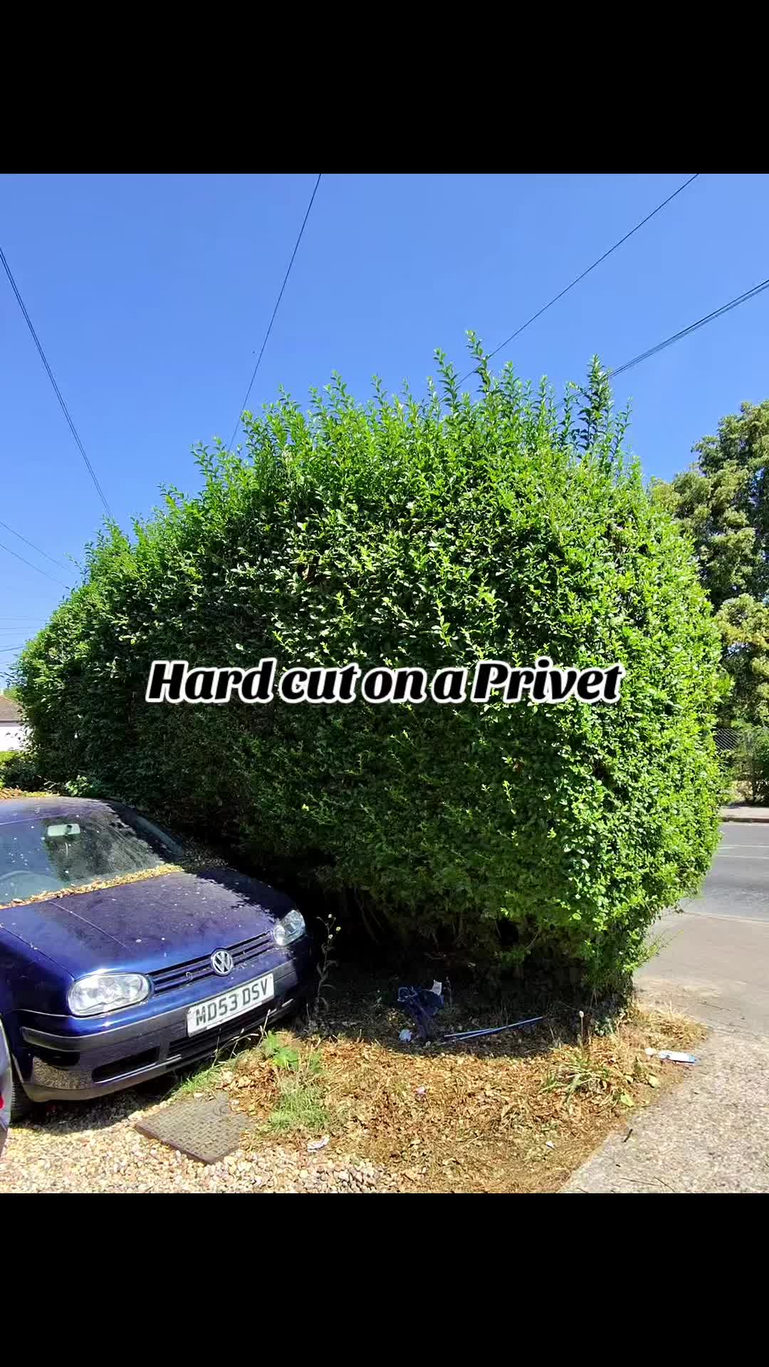 @carterslandscapes